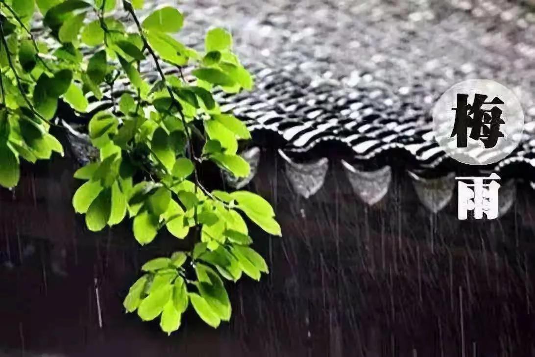 梅雨季节是什么时间（梅雨是什么，啥时候入梅） 第3张