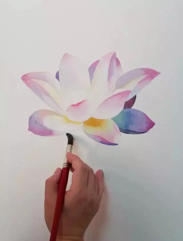 水彩画入门：一个超详细的水彩荷花教程 第149张