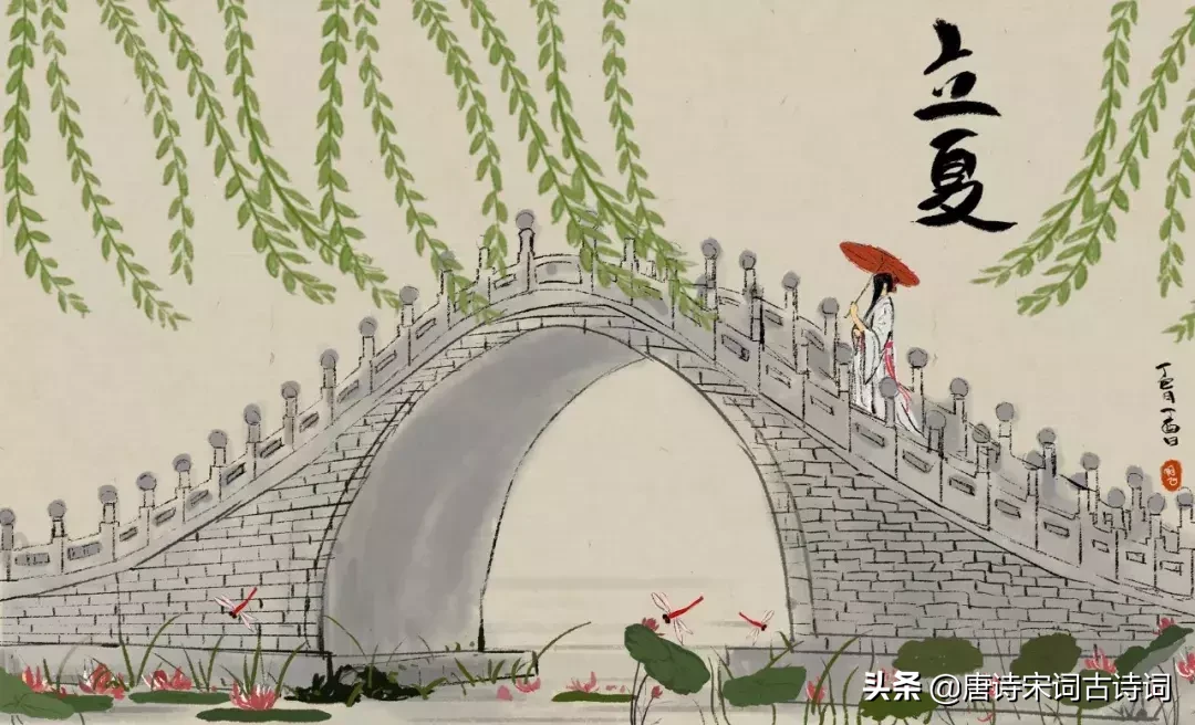 描写夏天的诗句有哪些（描写夏天美丽景色的诗句） 第1张