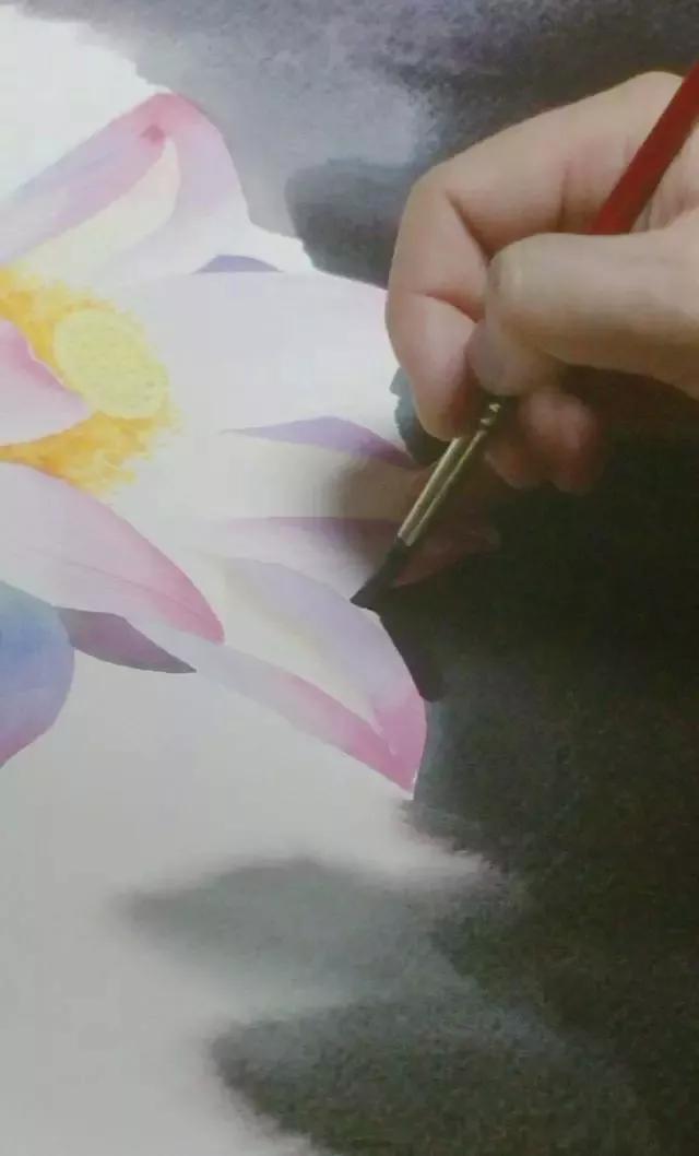 水彩画入门：一个超详细的水彩荷花教程 第173张
