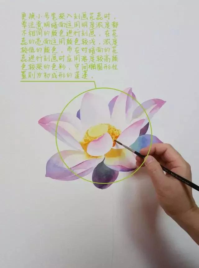 水彩画入门：一个超详细的水彩荷花教程 第159张