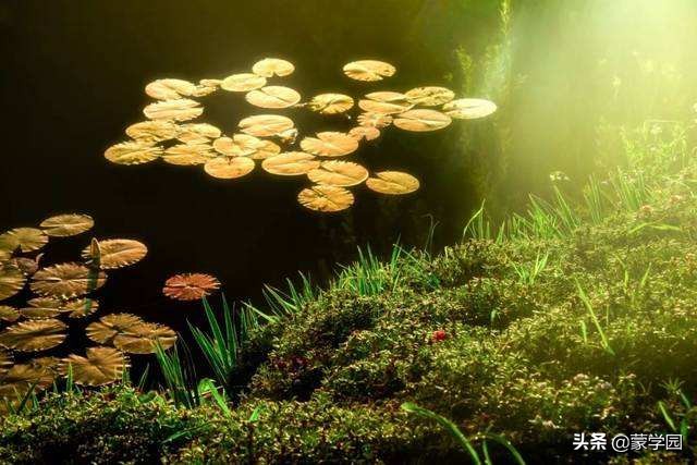 形容春天的四字词语（描写春天的季节景色赏析） 第5张