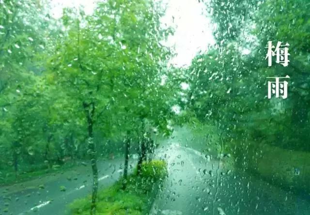 梅雨季节是什么时间（梅雨是什么，啥时候入梅） 第7张
