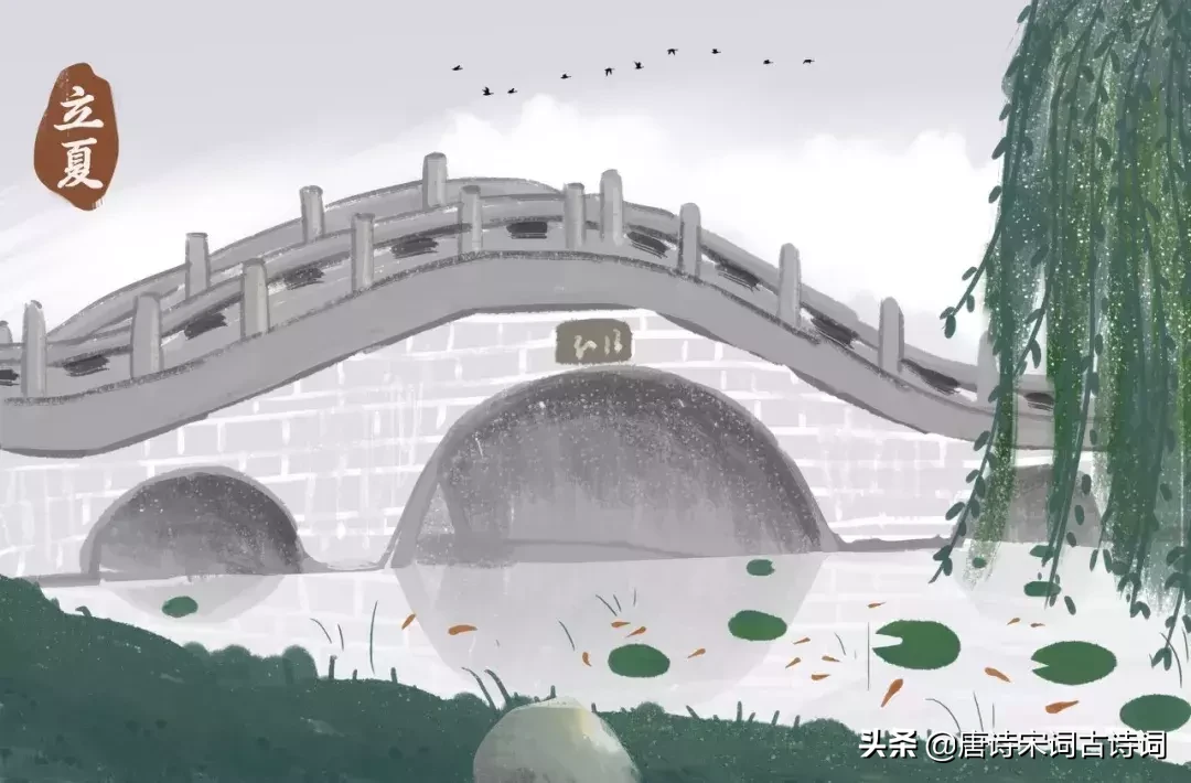 描写夏天的诗句有哪些（描写夏天美丽景色的诗句） 第3张