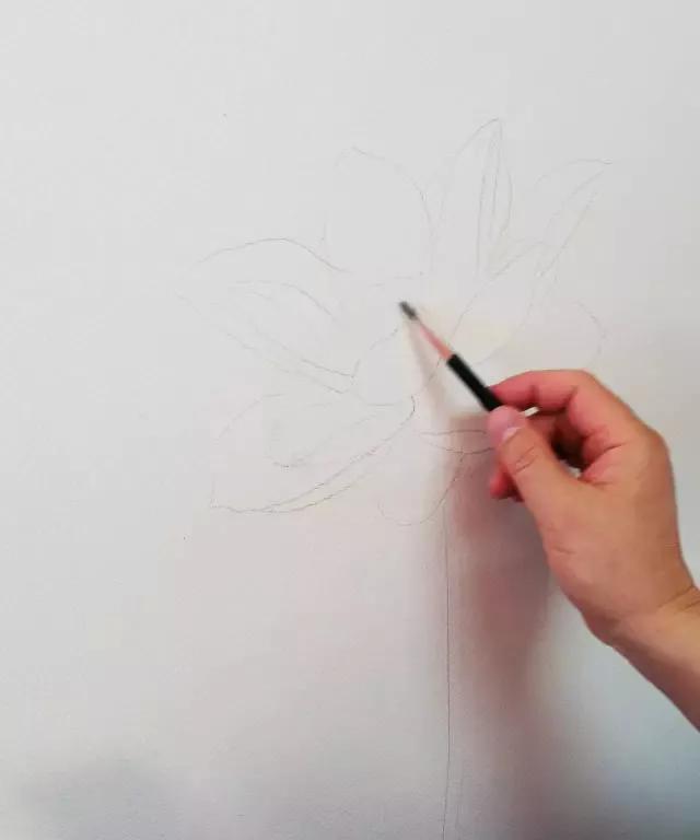 水彩画入门：一个超详细的水彩荷花教程 第27张