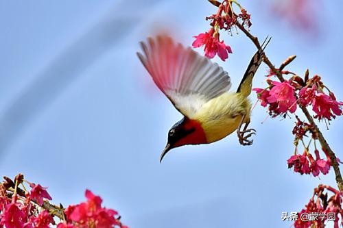形容春天的四字词语（描写春天的季节景色赏析） 第3张
