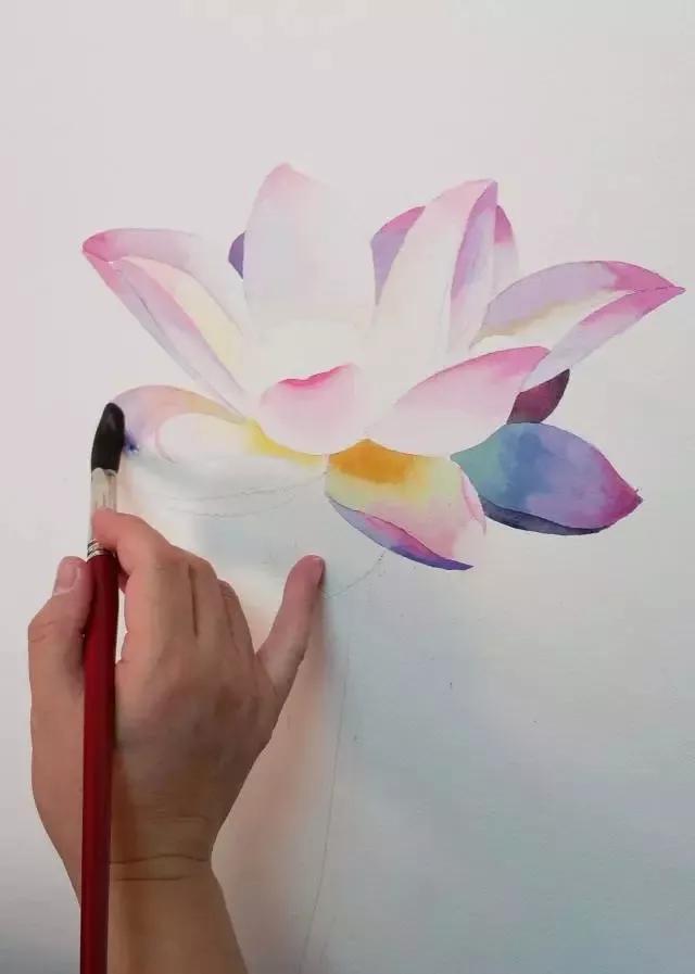 水彩画入门：一个超详细的水彩荷花教程 第143张