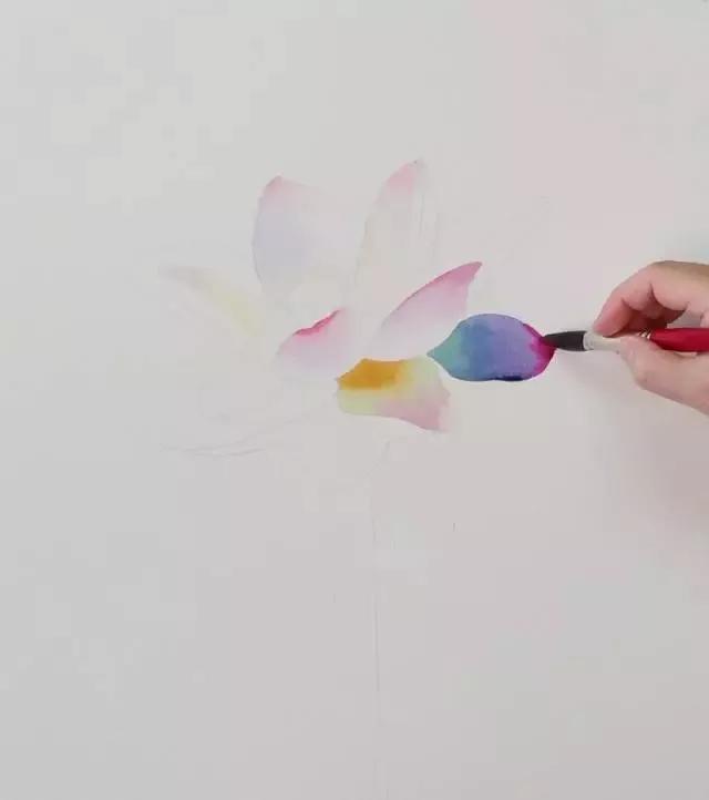 水彩画入门：一个超详细的水彩荷花教程 第111张
