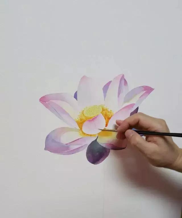 水彩画入门：一个超详细的水彩荷花教程 第161张