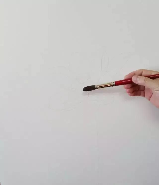水彩画入门：一个超详细的水彩荷花教程 第35张
