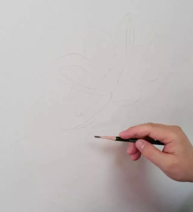 水彩画入门：一个超详细的水彩荷花教程 第25张