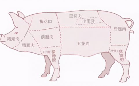 里脊肉是什么肉是哪个部位【猪肉各部位特点和做菜选择盘点】