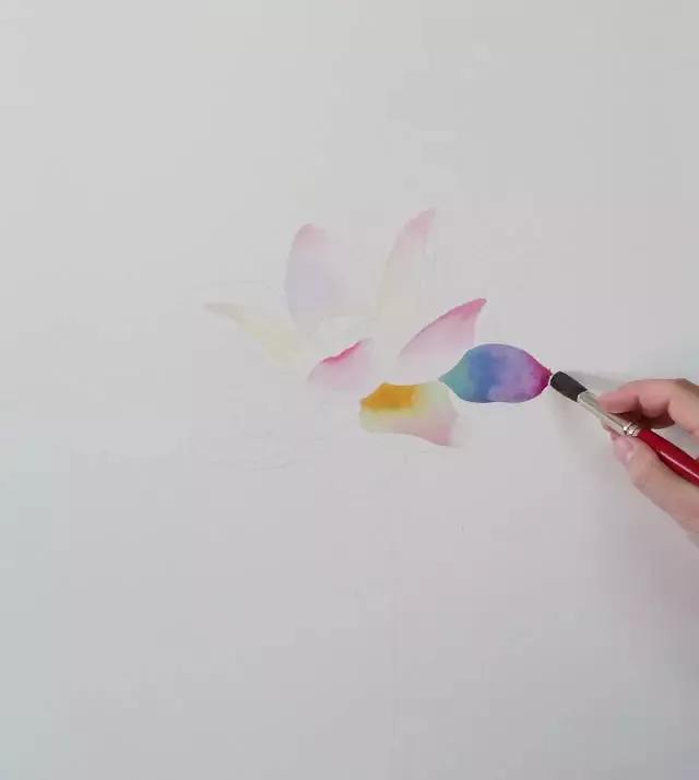 水彩画入门：一个超详细的水彩荷花教程 第115张