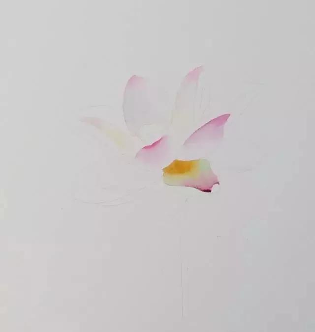 水彩画入门：一个超详细的水彩荷花教程 第103张