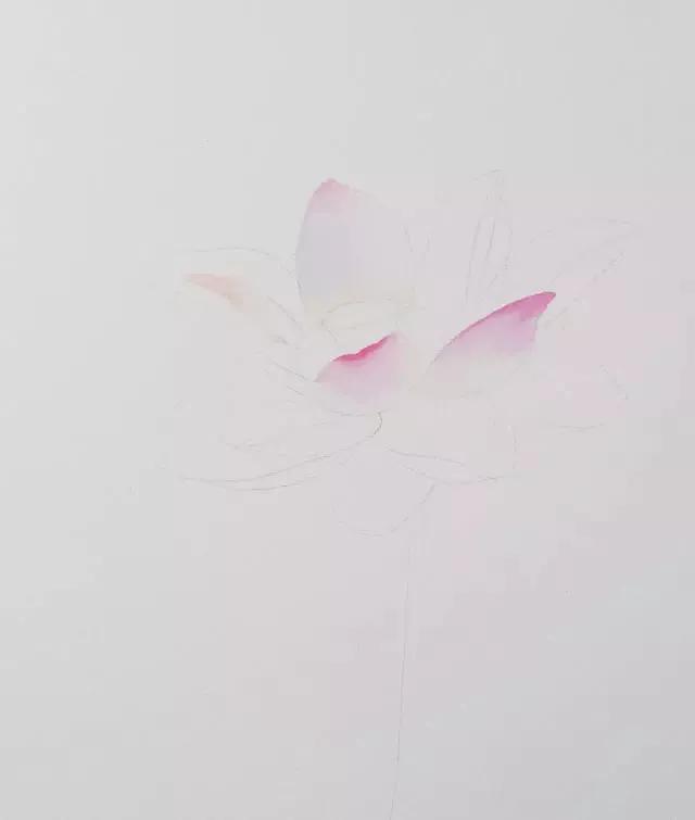 水彩画入门：一个超详细的水彩荷花教程 第81张