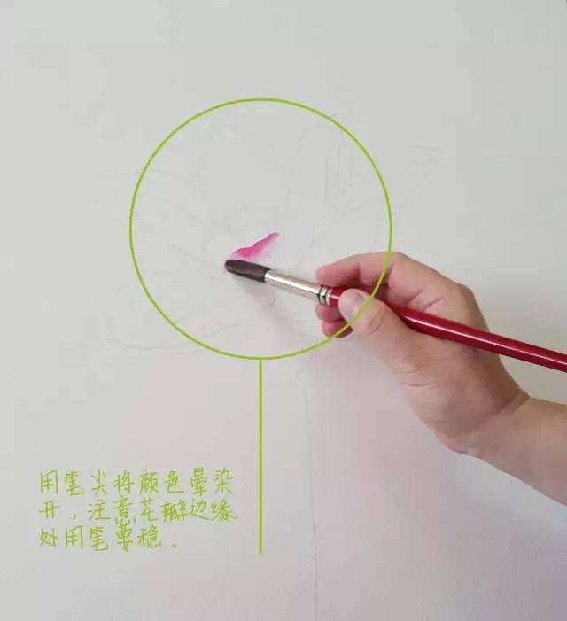 水彩画入门：一个超详细的水彩荷花教程 第41张