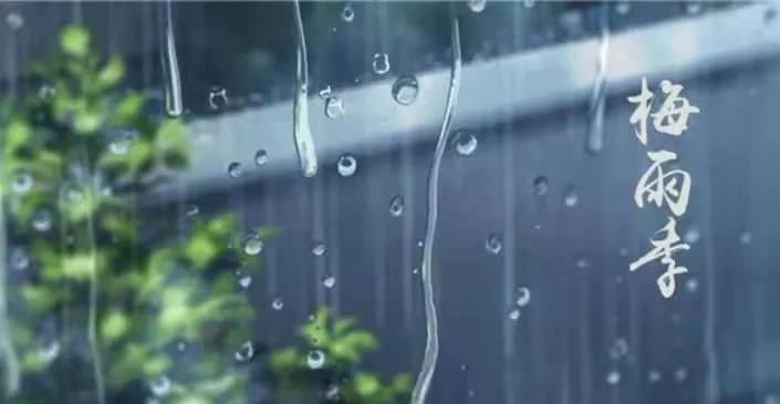 梅雨季节是什么时间（梅雨是什么，啥时候入梅） 第5张