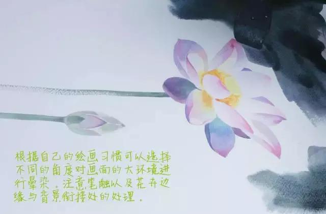 水彩画入门：一个超详细的水彩荷花教程 第169张