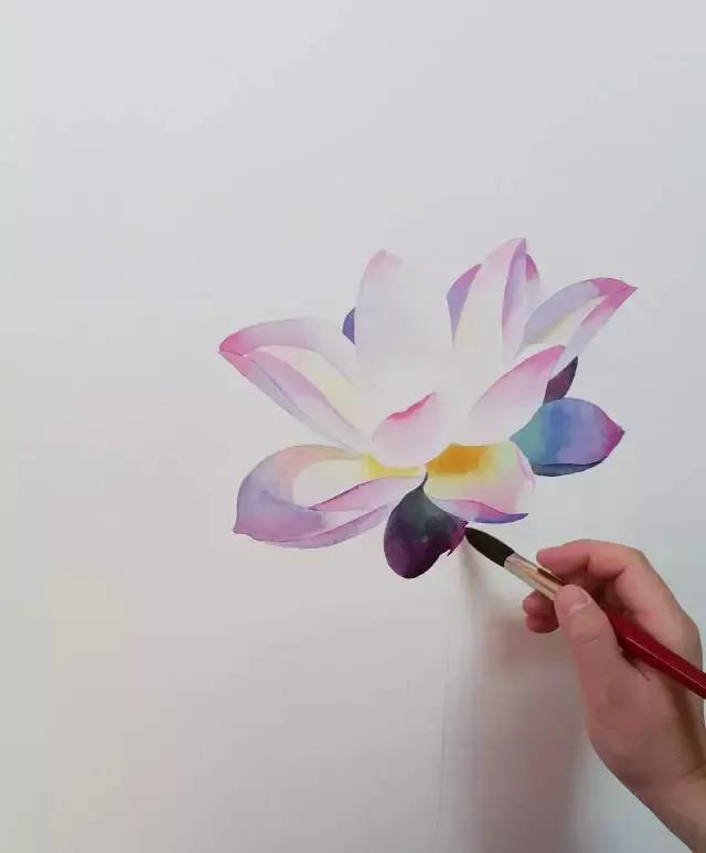 水彩画入门：一个超详细的水彩荷花教程 第153张