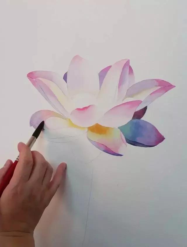 水彩画入门：一个超详细的水彩荷花教程 第145张