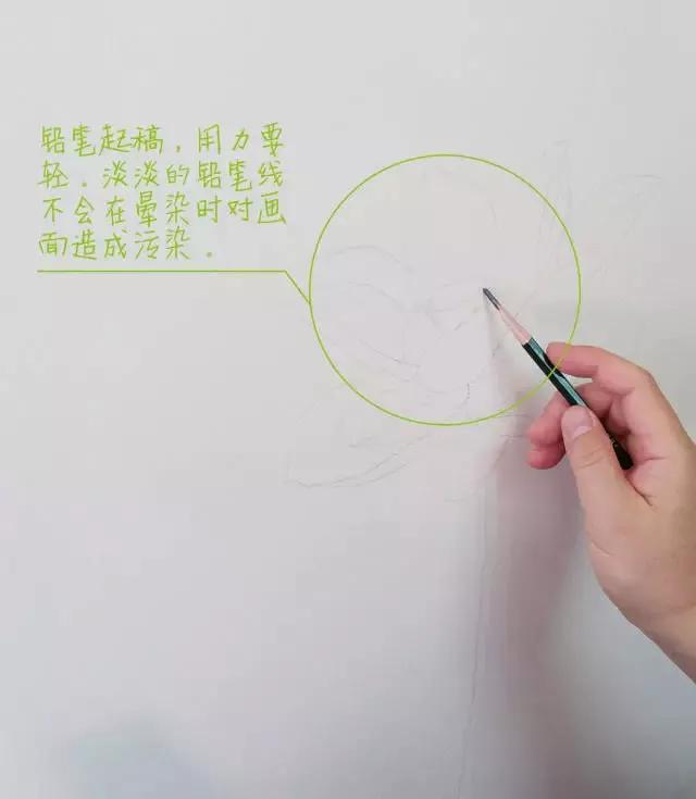 水彩画入门：一个超详细的水彩荷花教程 第29张