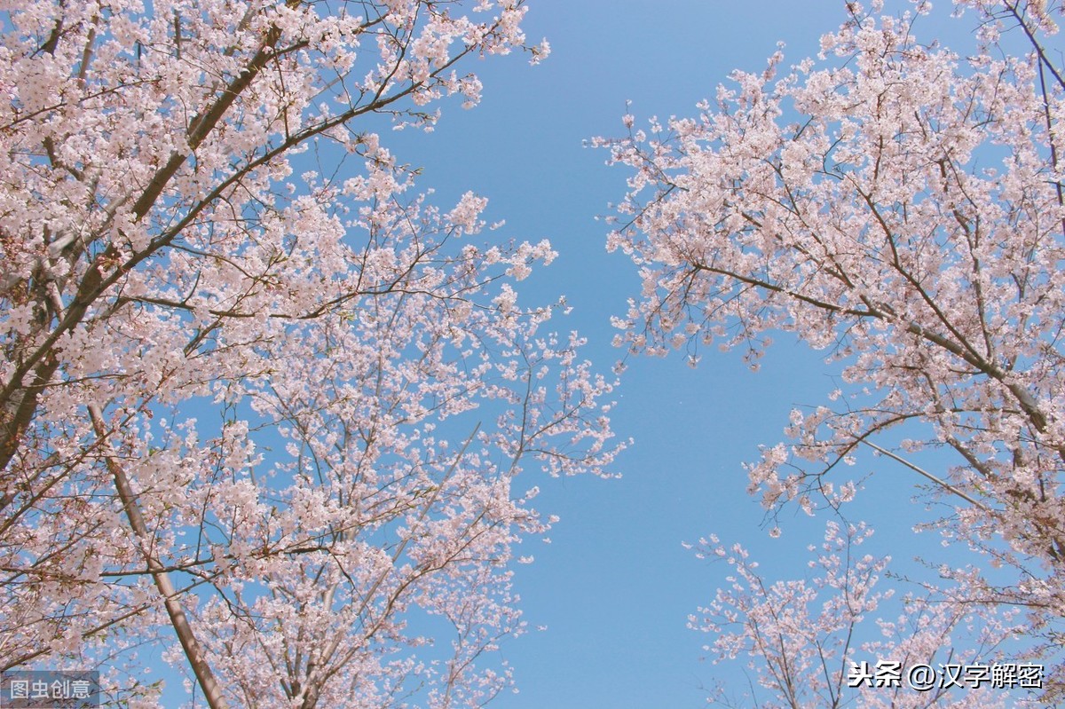 连续两句含有风的诗句（上下两句含有风的诗句） 第5张