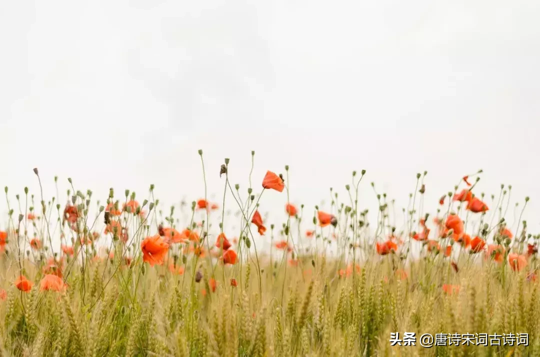 励志古诗词名言名句（八个字激励短句） 第5张