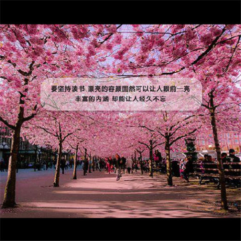 积极向上心灵鸡汤散文（心灵鸡汤正能量散文） 第1张