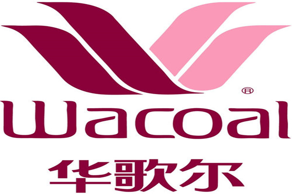 女士内衣十大品牌排行榜 女士内衣哪个牌子好 第13张