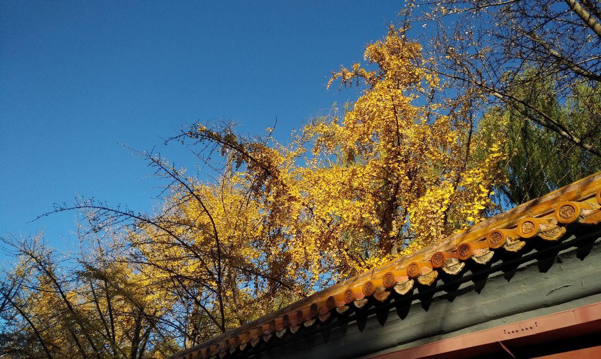 黑莓keyone是什么样的手机（黑莓keyone上手测评） 第15张