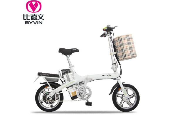 022电动车品牌排名前十