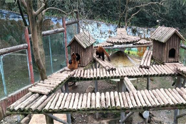 雅安好玩的地方排行榜,四川雅安最好玩的地方推荐 第3张