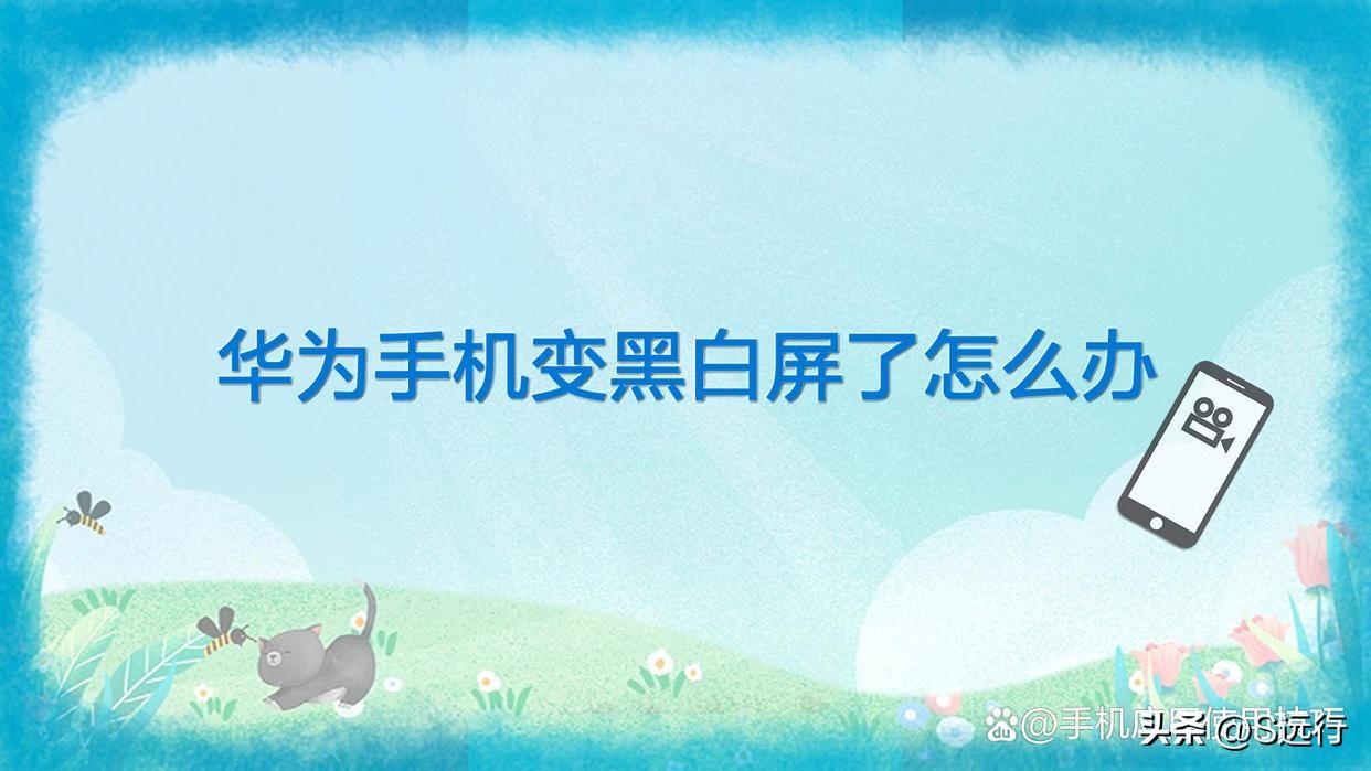 手机屏变黑白怎样还原（由黑白屏变为彩色设置步骤） 第1张