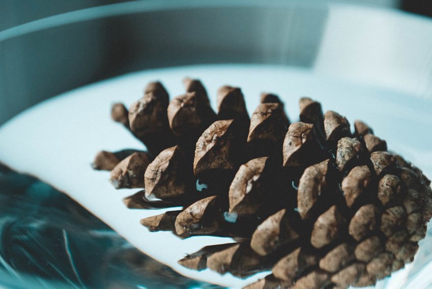 如何把平凡的事物拍出惊艳感 第1张