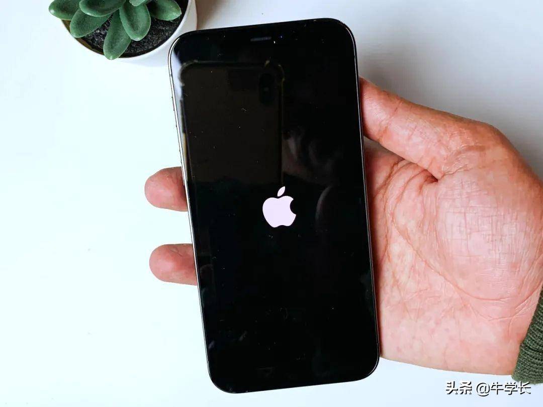 e29b77df9af9443bb12735504119b504noop.image_ 第1张