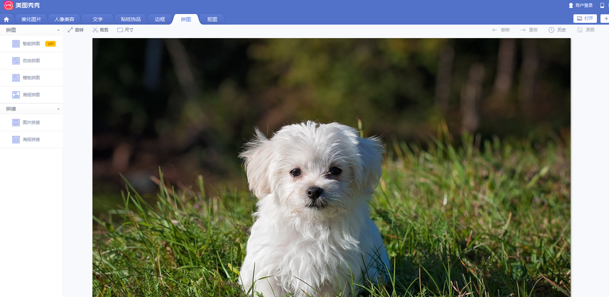 c1453e6c9a6c4531a22798eff8eca39enoop.image_ 第7张