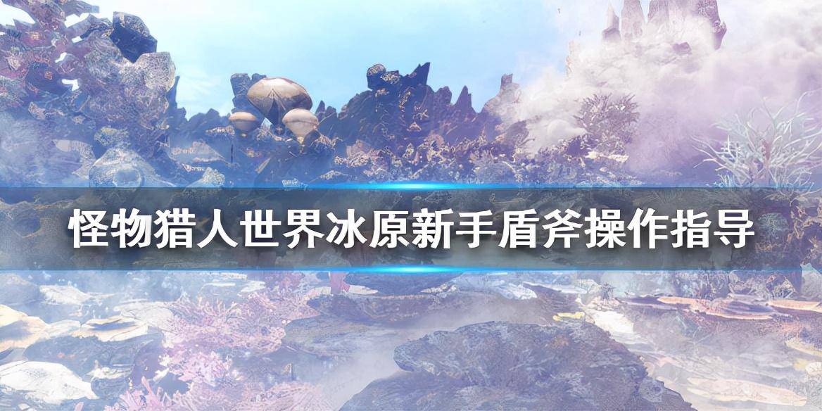 2d161972de2b49deac53f97e0930f2ednoop.image_ 第1张
