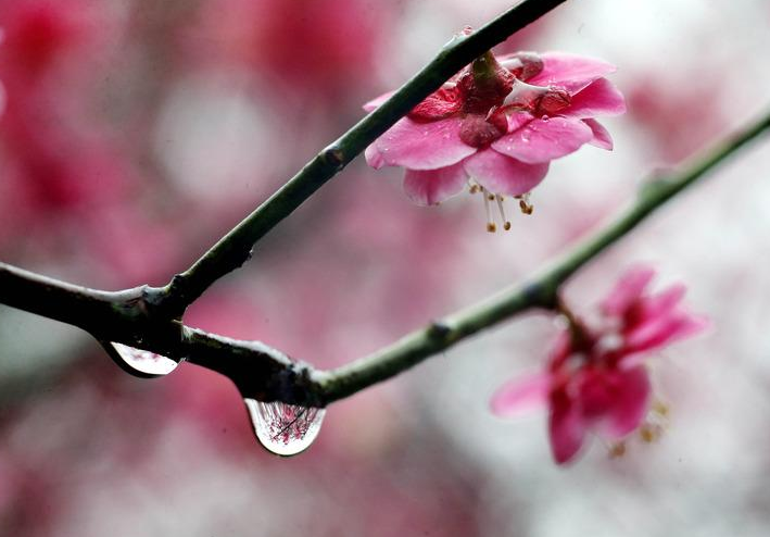 关于描写雨的古诗有哪些（唯美煽情的10首雨景诗） 第21张