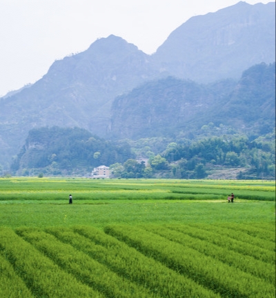 土地亩数计算方法 第1张