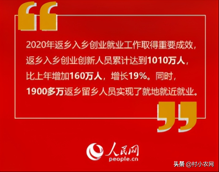 回乡创业养啥最赚钱？这6个农村养殖项目，总有一个能让你赚到钱 第1张