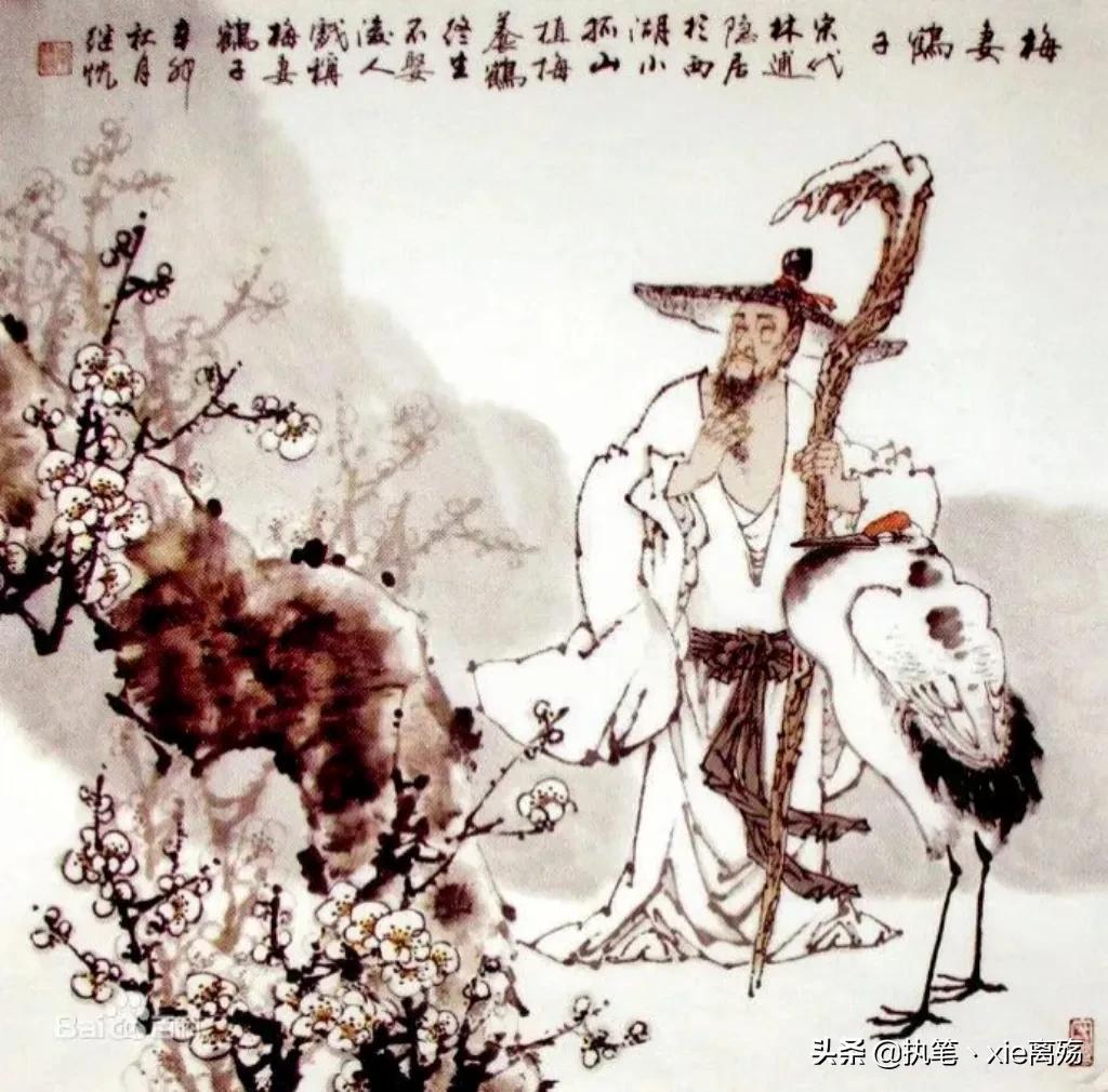 梅妻鹤子的诗人是哪一位（“梅妻鹤子”的林逋介绍） 第3张