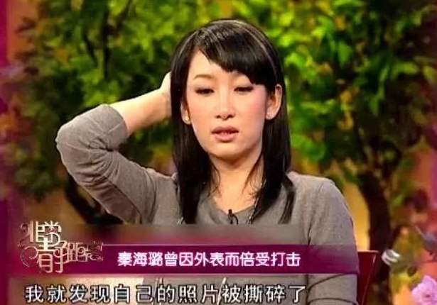秦海璐个人资料简介（详解秦海璐个人简介及出道经历） 第13张