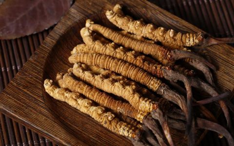 为什么虫草那么贵？这篇文章告诉你真相
