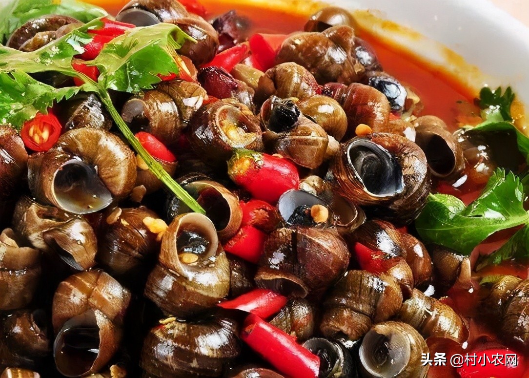 回乡创业养啥最赚钱？这6个农村养殖项目，总有一个能让你赚到钱 第21张