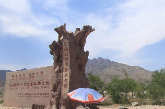 宁夏国家森林公园名录 宁夏森林公园完整名单 第1张