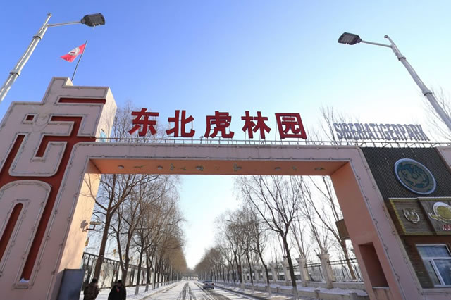 黑龙江动物园名单大全 黑龙江国家级野生动物园 第1张