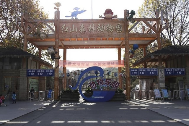 江苏动物园名单大全 江苏国家级野生动物园 第3张