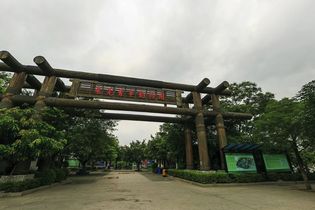 广东十大动物园 广东野生动物园哪个好 第5张