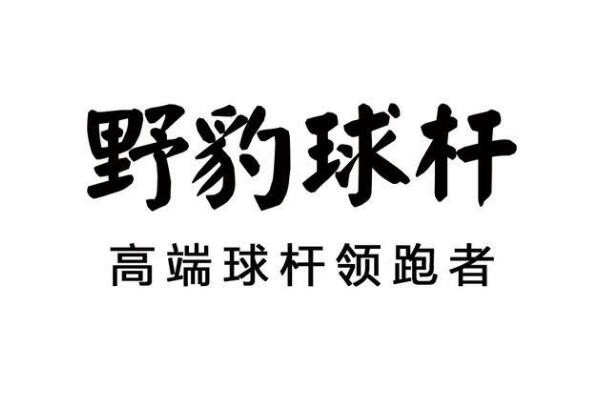 022台球杆十大品牌排行榜