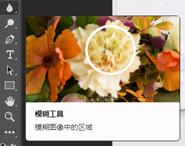 ad1e1eb62ffd46b3a169a77e52239ba9noop.image_ 第27张
